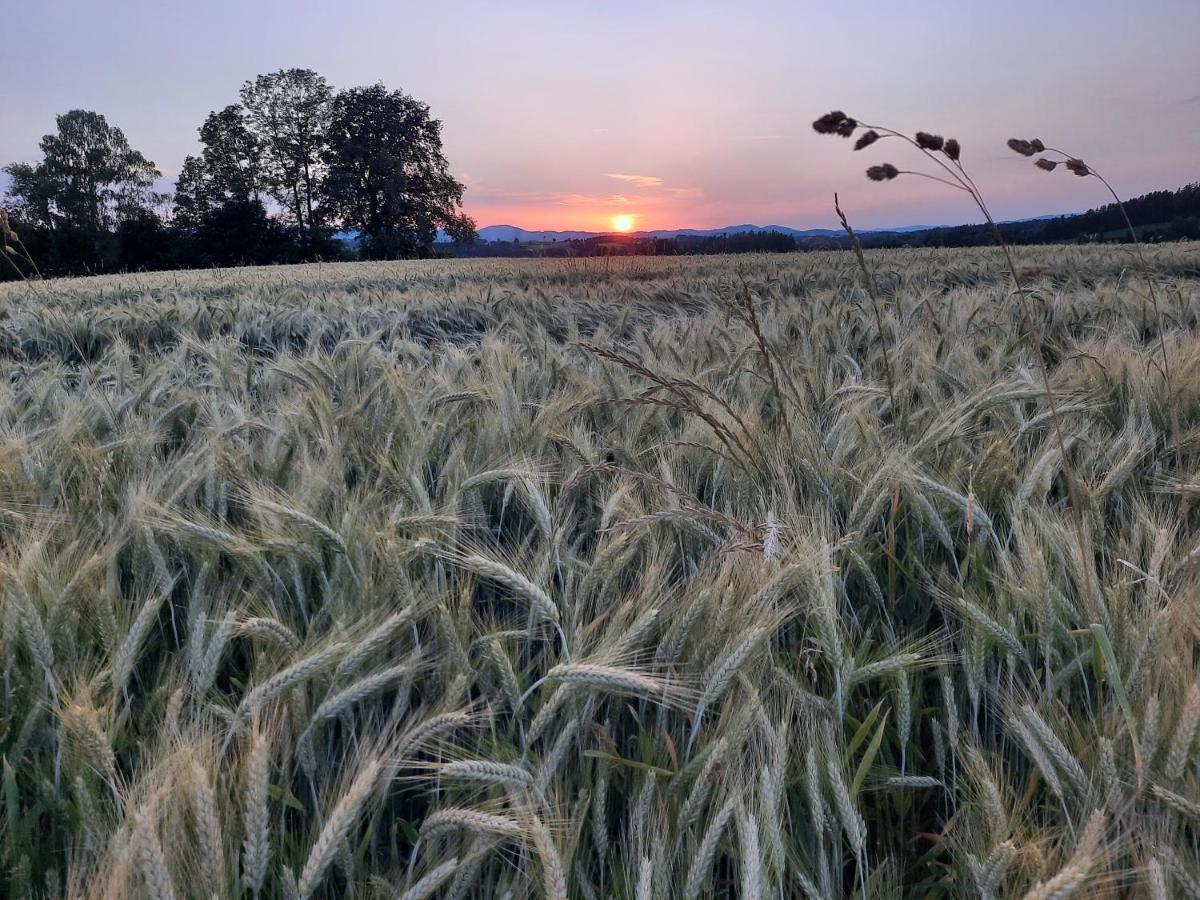 Grainmeisterhof Niederwaldkirchen ภายนอก รูปภาพ