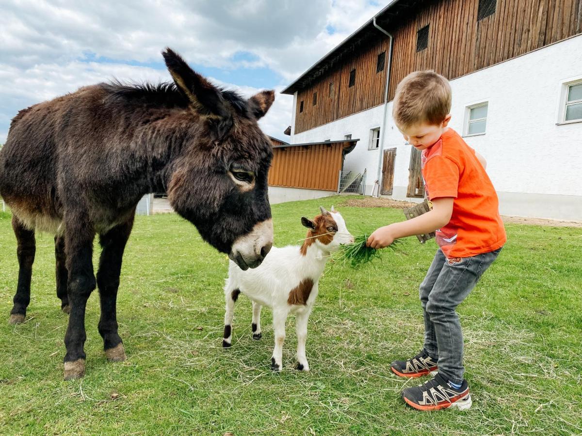 Grainmeisterhof Niederwaldkirchen ภายนอก รูปภาพ