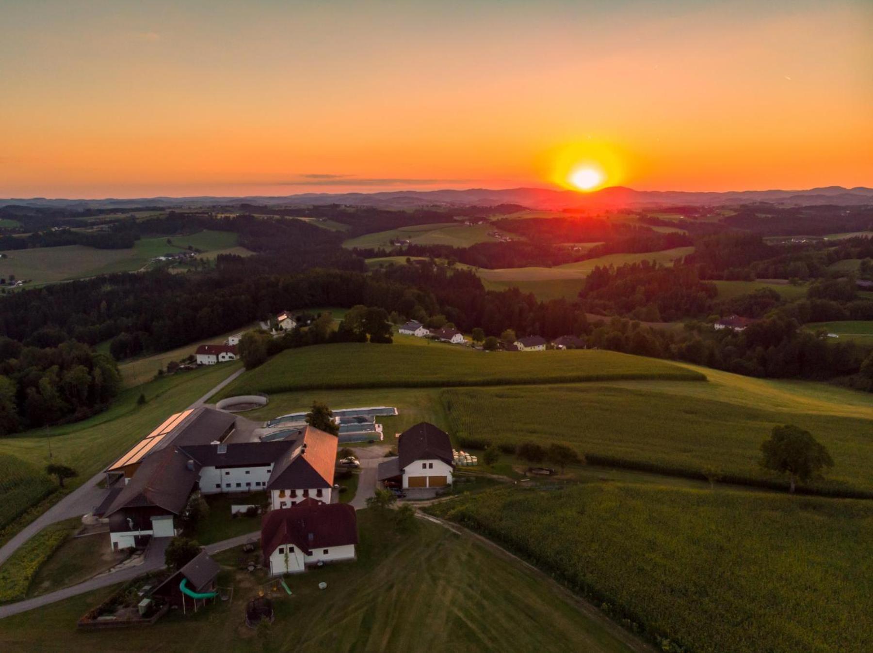 Grainmeisterhof Niederwaldkirchen ภายนอก รูปภาพ